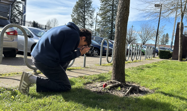 Student taking a photo of an apple in front of a tree