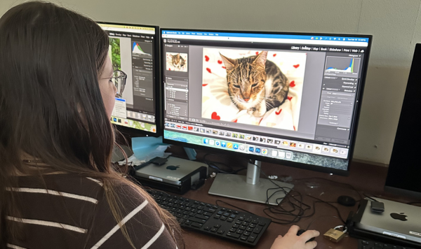 Student editing a photo on a computer