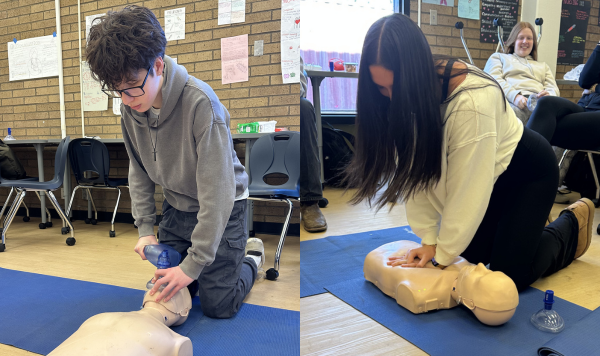 Students practicing CPR on mannequins