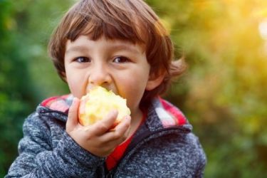 Child eating an apple