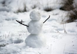 mini snow man